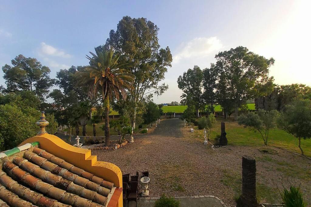 Cortijo San Jose Βίλα Σεβίλλη Εξωτερικό φωτογραφία